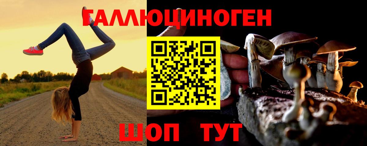 Псилоцибиновые грибы Magic Shrooms  Вход с VPN  наркотики  Богородицк 